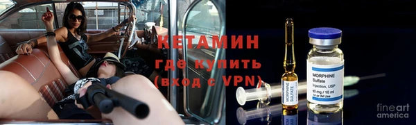 прущие грибы Вуктыл
