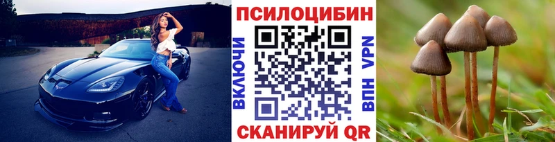 Галлюциногенные грибы Magic Shrooms Зеленоградск